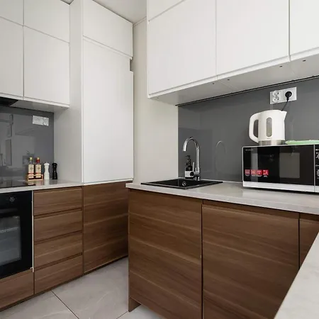 Light Grey In Cracow With Furnished Balcony By Renters דירה קרקוב