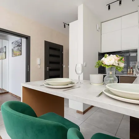 Light Grey In Cracow With Furnished Balcony By Renters דירה קרקוב