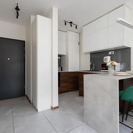 Light Grey In Cracow With Furnished Balcony By Renters *